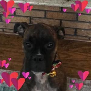 Meet your Posher, Jeanine